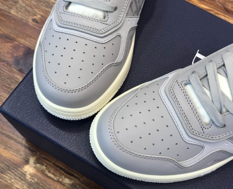 Giày Dior B27 Low Kenny Scharf Blue Tiger Print Like Auth