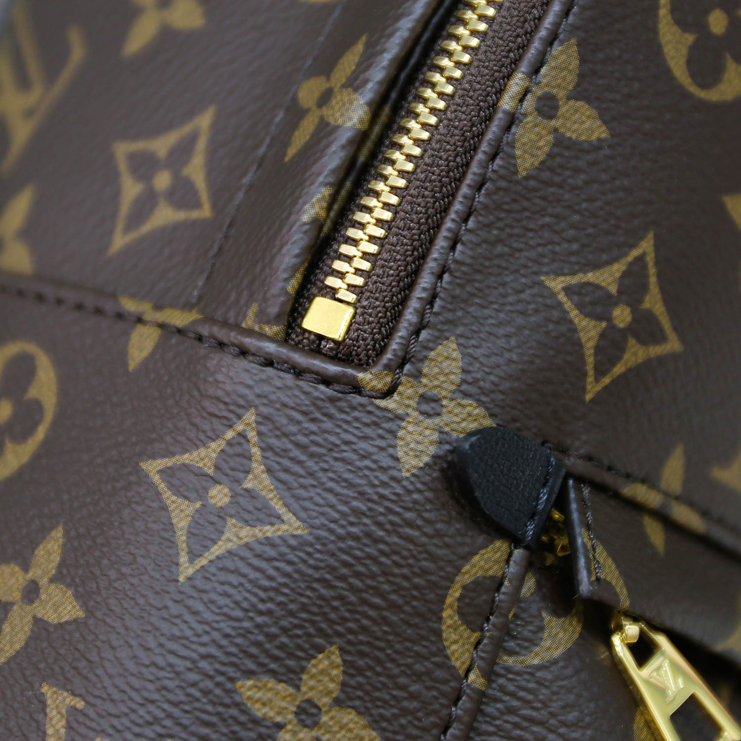 Balo Backpack LV Palm Spring PM