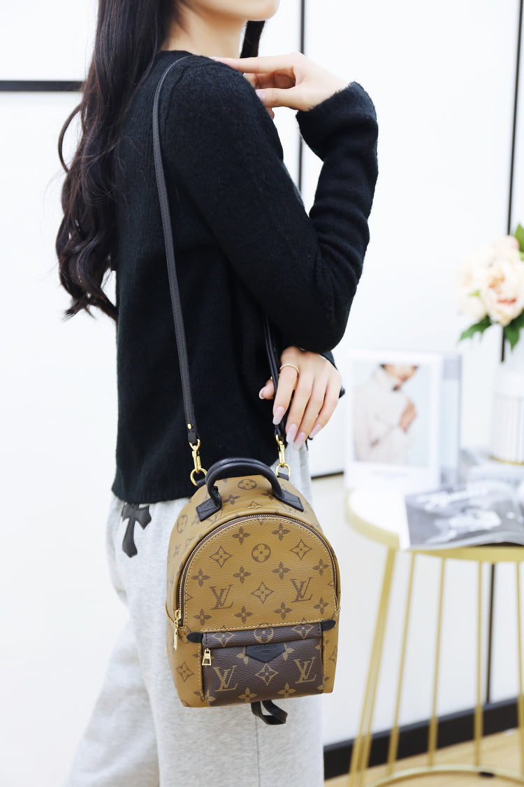 Balo Louis Vuitton 2019 Monogram Reverse Palm Springs Mini