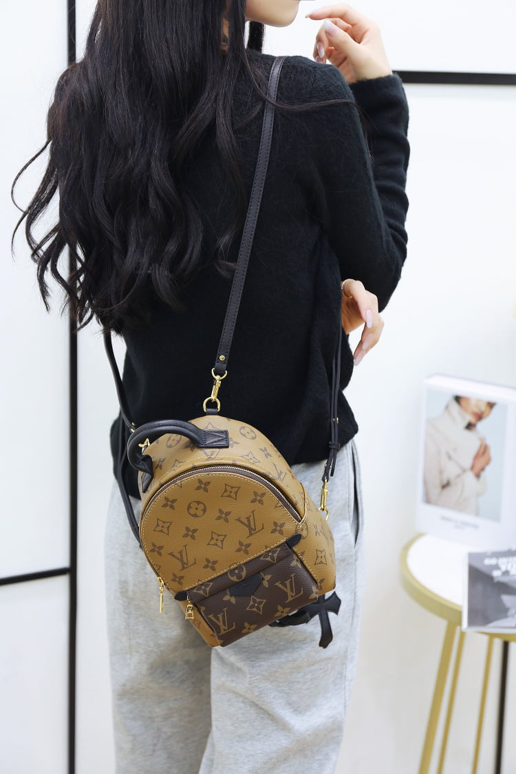 Balo Louis Vuitton 2019 Monogram Reverse Palm Springs Mini
