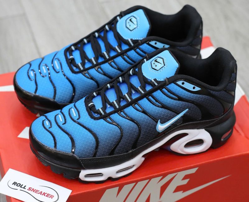 Giày Nike Air Max Plus Aquarius Blue Best Quality
