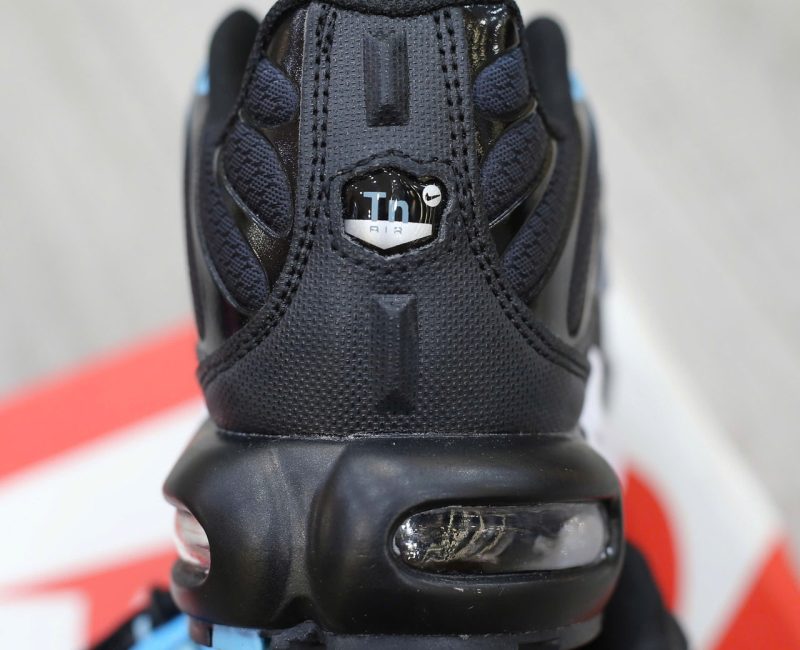 Giày Nike Air Max Plus Aquarius Blue Best Quality